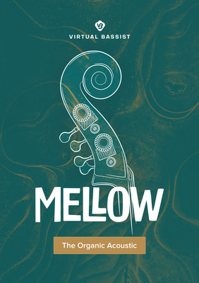 ujam Virtual Bassist Mellow 2 virtualus instrumentas  