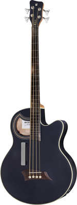 Akustinės bosinės gitaros be skirsnių