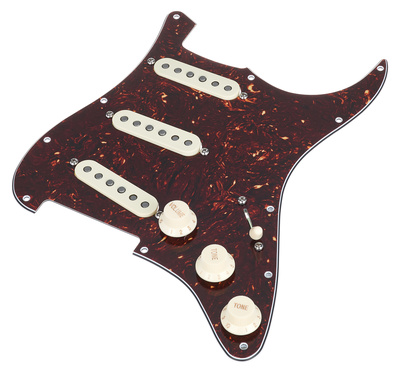 Mojotone 67 Q.Coil Hot Br. Pickguard TT garso nuėmėjas