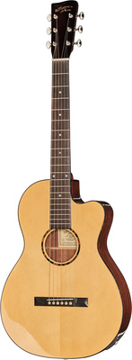Recording King RP-G6-CFE5 liaudiška akustinė gitara  