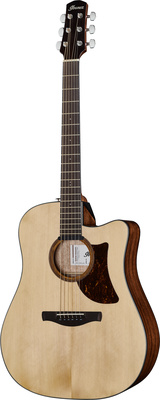 Ibanez AAD170CE-LGS