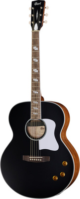 Jumbo akustinės gitaros