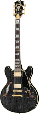 DAngelico Excel Mini DC Black Dog pusiau akustinė gitara