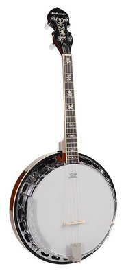 Richwood RMB-904-SS tenorinis banjo