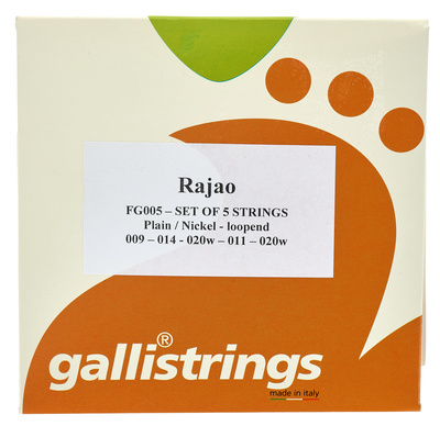 Galli Strings FG005 Rajao stygos