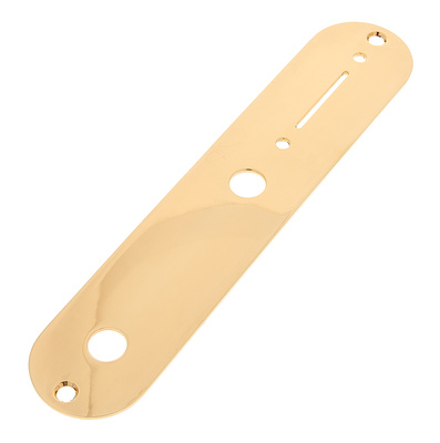 Gitaros ir bosinės gitaros lizdo dangteliai