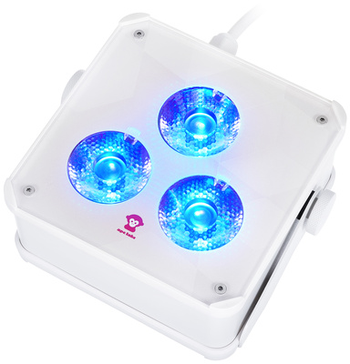 Ape Labs ApeLight maxi V2 (C) Led dekoratyvinis apšvietimas  