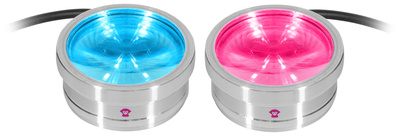 Ape Labs ApeCoin V2 Set 2 IP LED dekoratyvinis apšvietimas