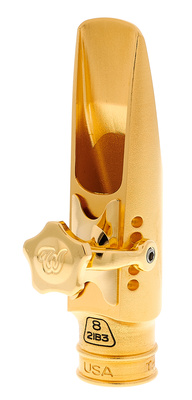 Theo Wanne Durga V Alto 8 Gold alto saksofono pūstukas (metaliniai)