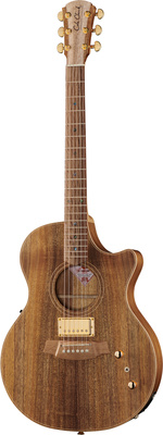 Cole Clark TL2EC-BLBL-HUM akustinė gitara