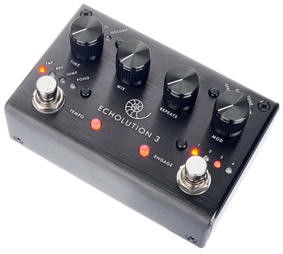 Pigtronix Echolution 3 uždelsimo/aido pedalas