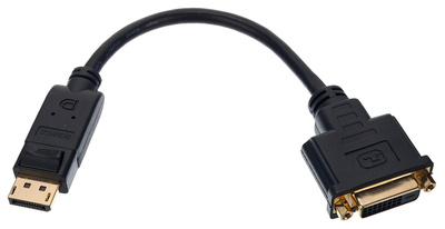 Lindy DisplayPort to DVI Adapter kompiuterio adapteris
