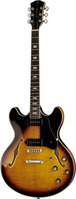 Larry Carlton H7V VS pusiau akustinė gitara