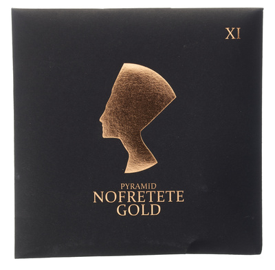 Pyramid NOF11 Nofretete Gold elektrinės gitaros styga