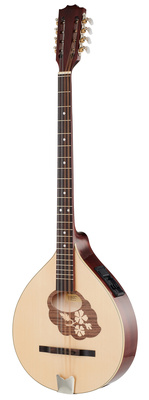 Thomann Irish Bouzouki M1089-P/LH airiška bouzuki