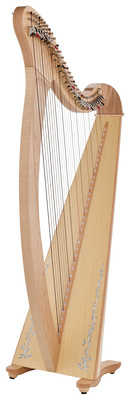 Salvi SALDON-DXAKP Donegal Natural arfa