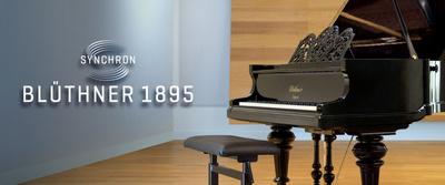 Vienna Symphonic Library Blüthner 1895 Standard Library virtualus instrumentas