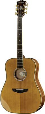 DAngelico Excel Lexington Vintage Natura dreadnought akustinė gitara