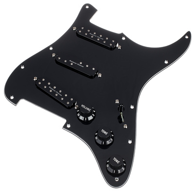 Seymour Duncan Everything Axe Loaded PG BK elektrinės gitaros humbuckeris
