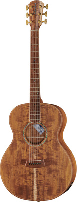 Cole Clark ANMGE-BLBL-AE Mastergrade akustinė gitara
