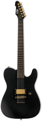 ESP LTD AA-1 BLKS Alan Ashby elektrinė T tipo gitara  