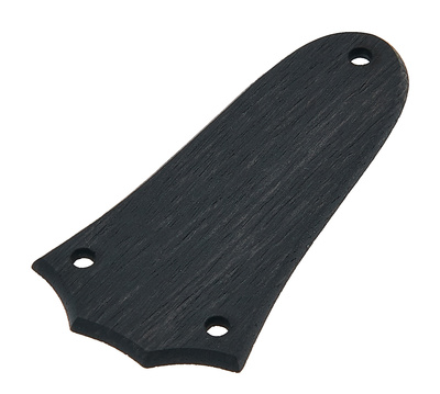 Taylor Truss Rod Cover Ebony gitaros dalis