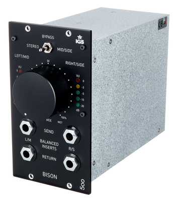 IGS Audio Bison 500 signalo apdorojimo modulis