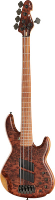 Sandberg Panther Special 5 Thuya bosinė gitara