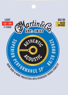 Martin Guitars MA190 Authentic Acoustic SP akustinės gitaros stygos