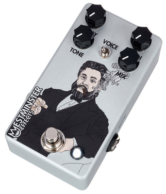 Westminster Effects Spurgeon Reverb V2 reverb pedalas