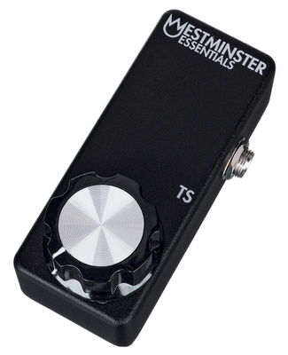 Westminster Effects Micro Expression TS