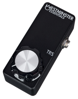 Westminster Effects Micro Expression TRS gitaros efektas