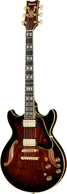 Ibanez AM153QA-DBS pusiau akustinė gitara