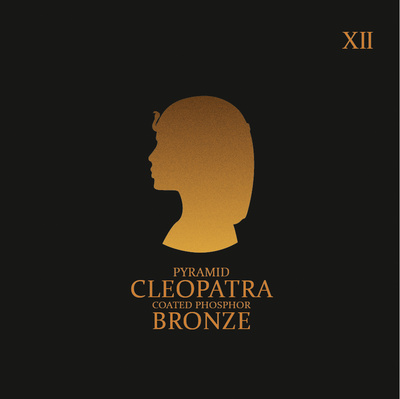 Pyramid Cleo-XII Coated Phosphor akustinės gitaros stygos  