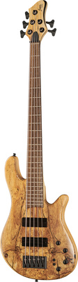 Franz Bassguitars Merak 5 Spalted Alder LTD 2024 bosinė gitara