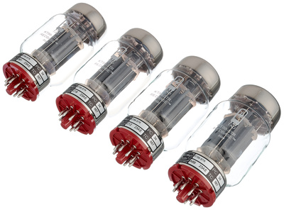 TAD KT88-STR Redbase Quartett gitaros stiprintuvo lempa