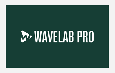 Steinberg Wavelab Pro 12 garso įrašymo programinė įranga