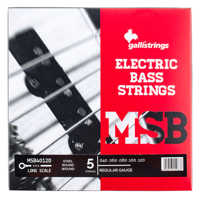 040 pavienės stygos 5-stygų bosinėms gitaroms