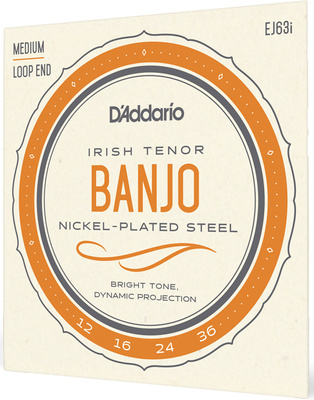 Daddario EJ63i airiško tenorinio banjo stygų rinkinys  