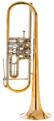 Gerd Dowids M-Series Bb rotacinis trimitas