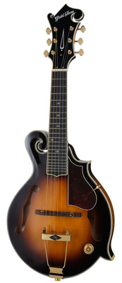 Gold Tone F6-Plus mandolina
