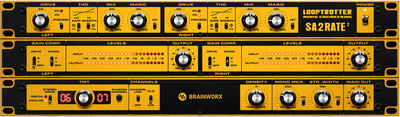 Plugin Alliance Looptrotter Sa2rate 2 garso ir efektų priedas