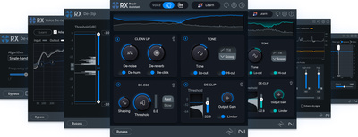 iZotope RX 11 Elements EDU mokomoji programinė įranga  