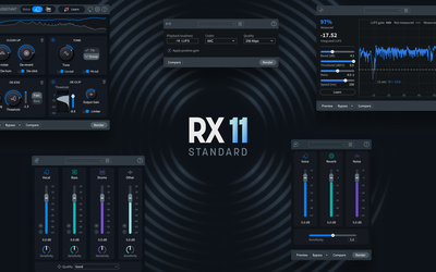 iZotope RX 11 Standard EDU mokomoji programinė įranga