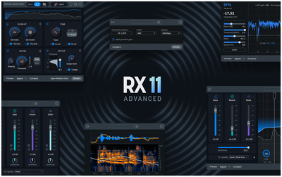 iZotope RX 11 Advanced EDU mokomoji programinė įranga