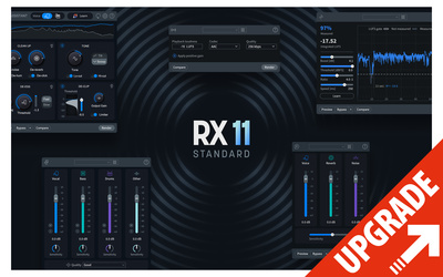 iZotope RX 11 Standard Crossgrade atnaujinimo programinė įranga