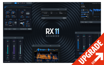 iZotope RX 11 Advanced Crossgrade programinė įranga
