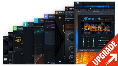 iZotope RX Post Production Suite 8 Upgrade RX Standard programinė įranga atnaujinimas
