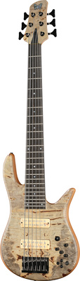 Fodera Monarch Custom 6 Buckeye