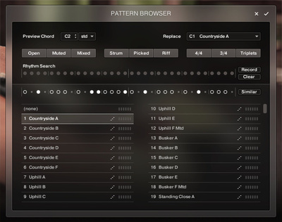 Native Instruments Session Guitarist Picked Acou. virtualus instrumentas
